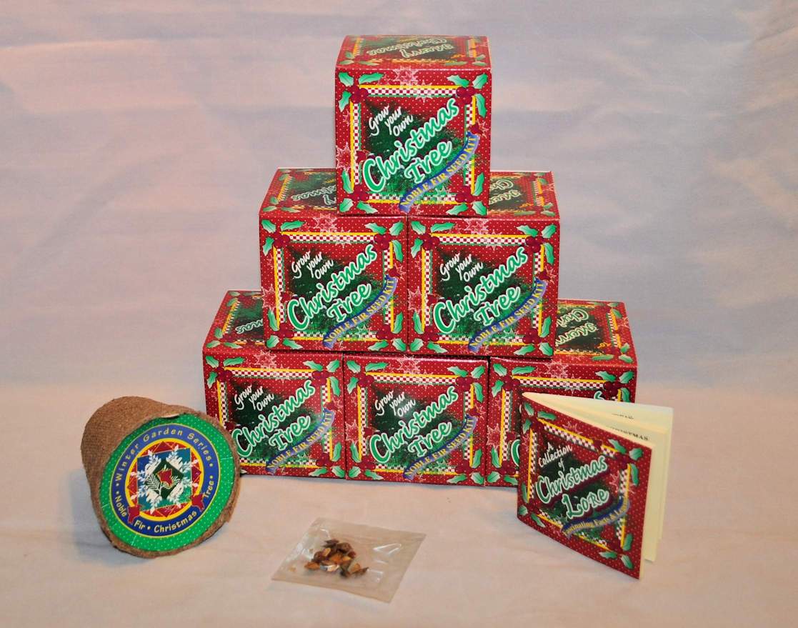 Christmas tree growing kit