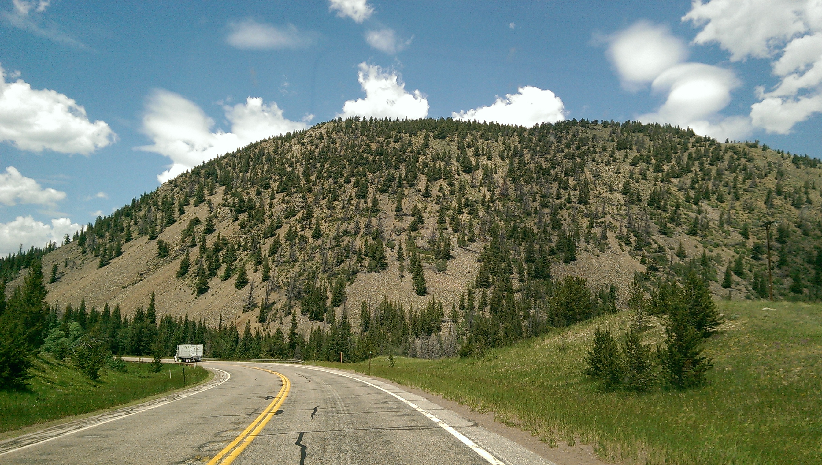 Sparce Rocky Mountain Forests