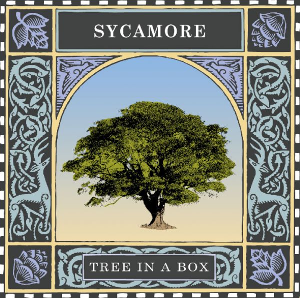 Sycamore book cover